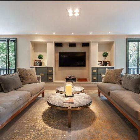 Condesa Super Loft Apartment Мехико Экстерьер фото